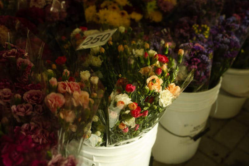 Ramo de rosas rosas suaves para regalo