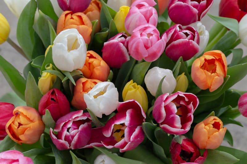 Ramo de flores de temporada variadas Interflora